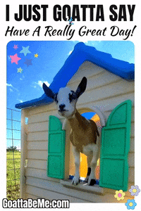 Good Day Pets GIF by Goatta Be Me Goats! Adventures of Java, Toffee, Pumpkin and Cookie!