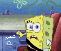 Iraq Omg GIF by Bashar