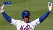 Major League Baseball Win GIF by MLB