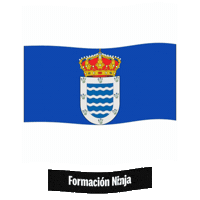 Castilla Y Leon Bandera Sticker by Formación Ninja