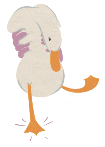 Duck Drums Sticker by Gina Finehart