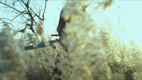 Animated GIF