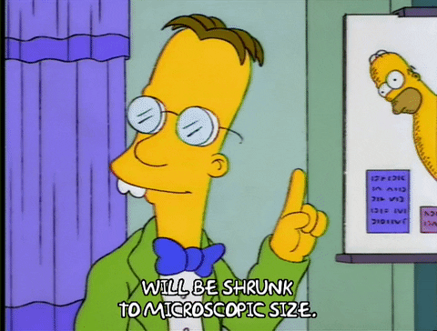 Season 4 Scientist GIF by The Simpsons