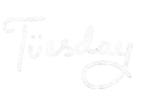 Day Today Sticker
