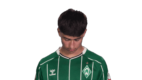 Werder Bremen Covic Sticker by Bundesliga