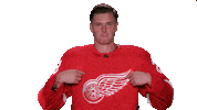 Red Wings Sport Sticker by Detroit Red Wings