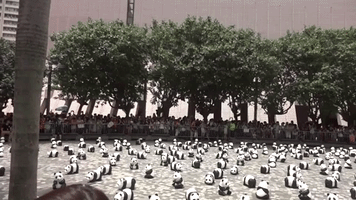 Pandas Descend on Hong Kong