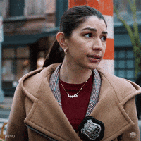 Episode 12 GIF by Law & Order