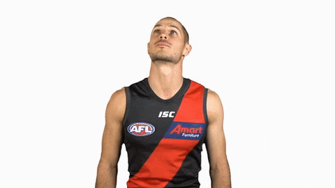 essendonfc giphyupload dons bombers essendon GIF