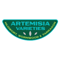 Tonic Artemisia Sticker by Square Root Soda