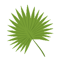 Leaf Palm Sticker by Apartment Therapy