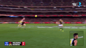 2018 season football GIF by AFL