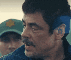 Benicio Del Toro GIF by slicedbread
