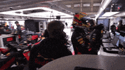 Red Bull F1 GIF by Red Bull Racing