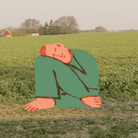 torkeltiren sleepy calm nap serene GIF