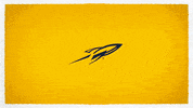 Ncaa GIF by Toledo Rockets