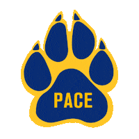 New York College Sticker by Pace University