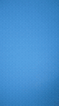 Come On Whatever GIF by Bernardson