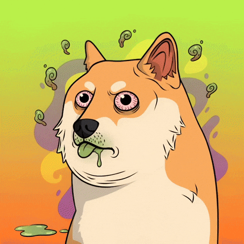 Sick Shiba Inu GIF by Doge Pound