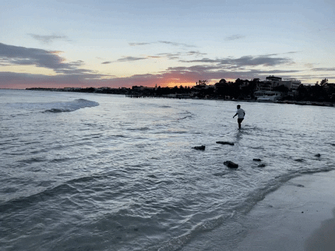 Playa Del Carmen GIF by CGTraveler - Carlos Garrido - Adventrgram
