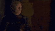 game of thrones GIF by Vulture.com