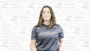 Sport Softball GIF by Providence Friars