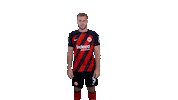 Happy Celebration Sticker by Eintracht Frankfurt