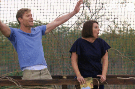 #imacelebrityau GIF by I'm A Celebrity... Get Me Out Of Here! Australia