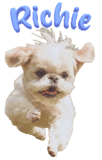 Dog Richie Sticker