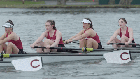 Rowing GIF by Colgate Athletics