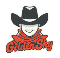 Festival Sky Sticker by DWP