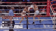 toprank fight boxing fighting espn GIF