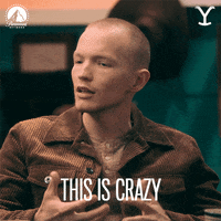 Discussion This Is Crazy GIF by Yellowstone