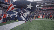 Randy Moss Football GIF by New England Patriots