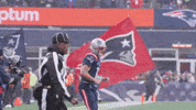 Football Nfl GIF by New England Patriots