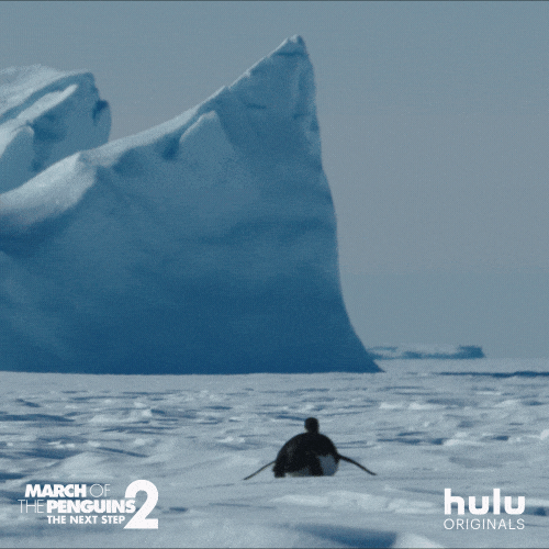 March Of The Penguins Penguin GIF by HULU