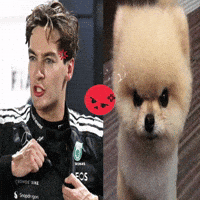 Angry Formula 1 GIF