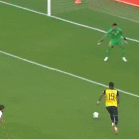 elcanaldelfutbol giphyupload f ecuador tri GIF