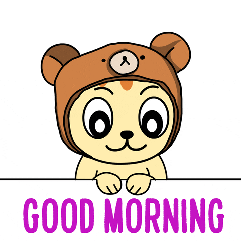 Good Morning Bear GIF by JPedicini