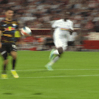 Save 1 Fc Cologne GIF by 1. FC Köln