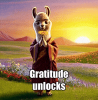 Joy Gratitude GIF by dalaillamazen