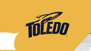 Rocket Softball GIF by Toledo Rockets