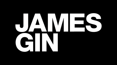 JamesGin giphyupload glitch giphystrobetesting gin GIF