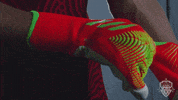 Soccer Goalkeeper GIF by Washington Spirit