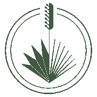 Mezcal Agave Sticker by Maguey Spirits