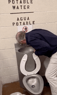 news toilet drinking water steve king rep steve king GIF