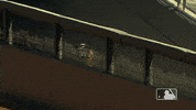 Hand Up Major League Baseball GIF by MLB