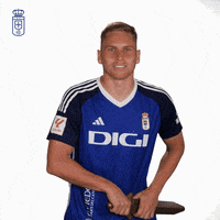 Goal Futbol GIF by Real Oviedo