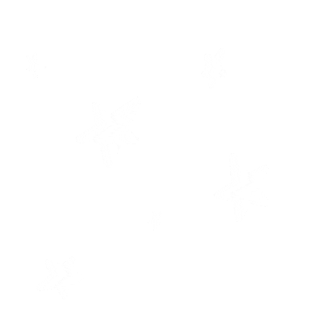 Fun Star Sticker
