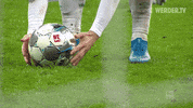 Football Soccer GIF by SV Werder Bremen